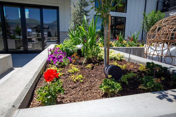 Outdoor audio speakers integrated into garden landscaping
